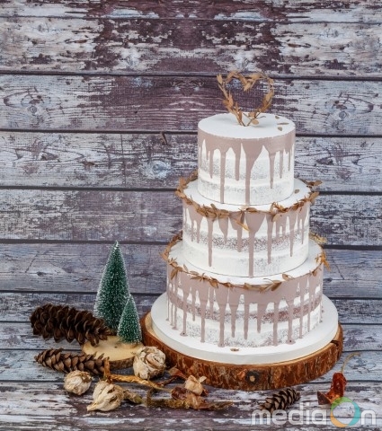 핸드메이드 실물 모형케이크 더멜로미, 케이크 주문제작 서비스 론칭