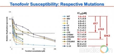 건국대 연구팀, ‘최강 B형간염 치료제’ 내성 돌연변이 발견 및 원리 규명
